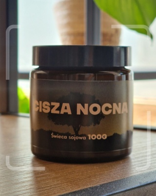 Cisza nocna