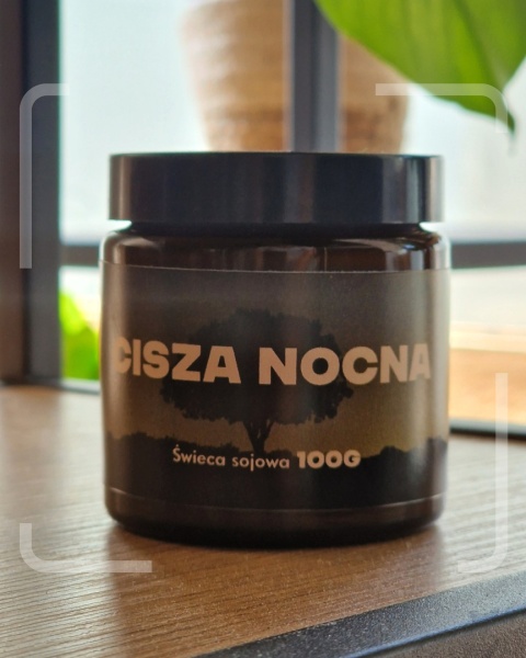 Cisza nocna