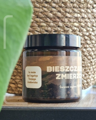 Bieszczadzki zmierzch