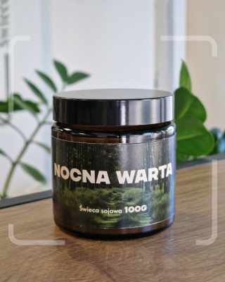 Nocna warta